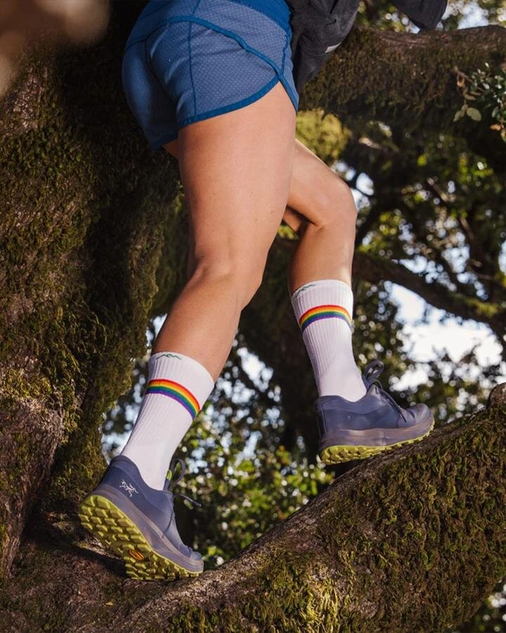 Darn Tough Women's Prism Crew Light Cushion Athletic Sock (1110) 2 Darn Tough Women's Prism Crew Light Cushion Athletic Sock (1110) - Image 2